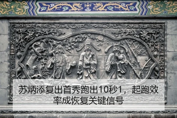su-bing-tian-fu-chu-shou-xiu-pao-chu-miao-qi-pao-xiao-lv-cheng-hui-fu-guan-jian-xin-hao-2-971.jpg