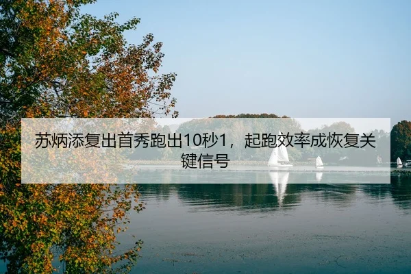 su-bing-tian-fu-chu-shou-xiu-pao-chu-miao-qi-pao-xiao-lv-cheng-hui-fu-guan-jian-xin-hao-3-684.jpg